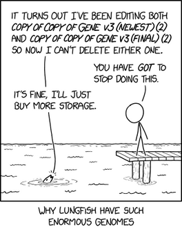 Stick figure man standing on a dock talks to a lungfish peaking its head out of the water.